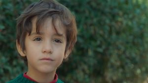 El niño que quería volar