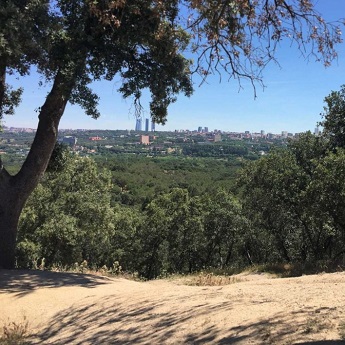 Imagen de la actividad: Casa de Campo, historia de un paisaje