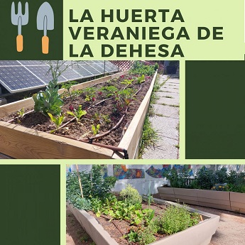 La huerta veraniega de la Dehesa