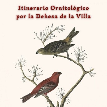 Itinerario ornitológico por La Dehesa