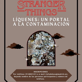 Stranger things: líquenes, un portal a la contaminación.