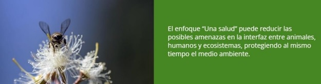 Enfoque "Una salud"