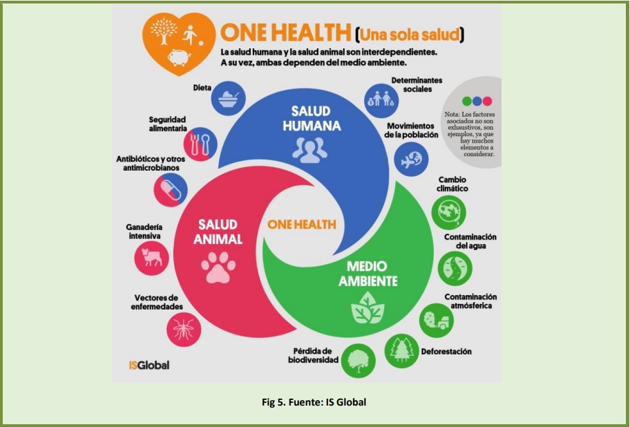 Una sola salud