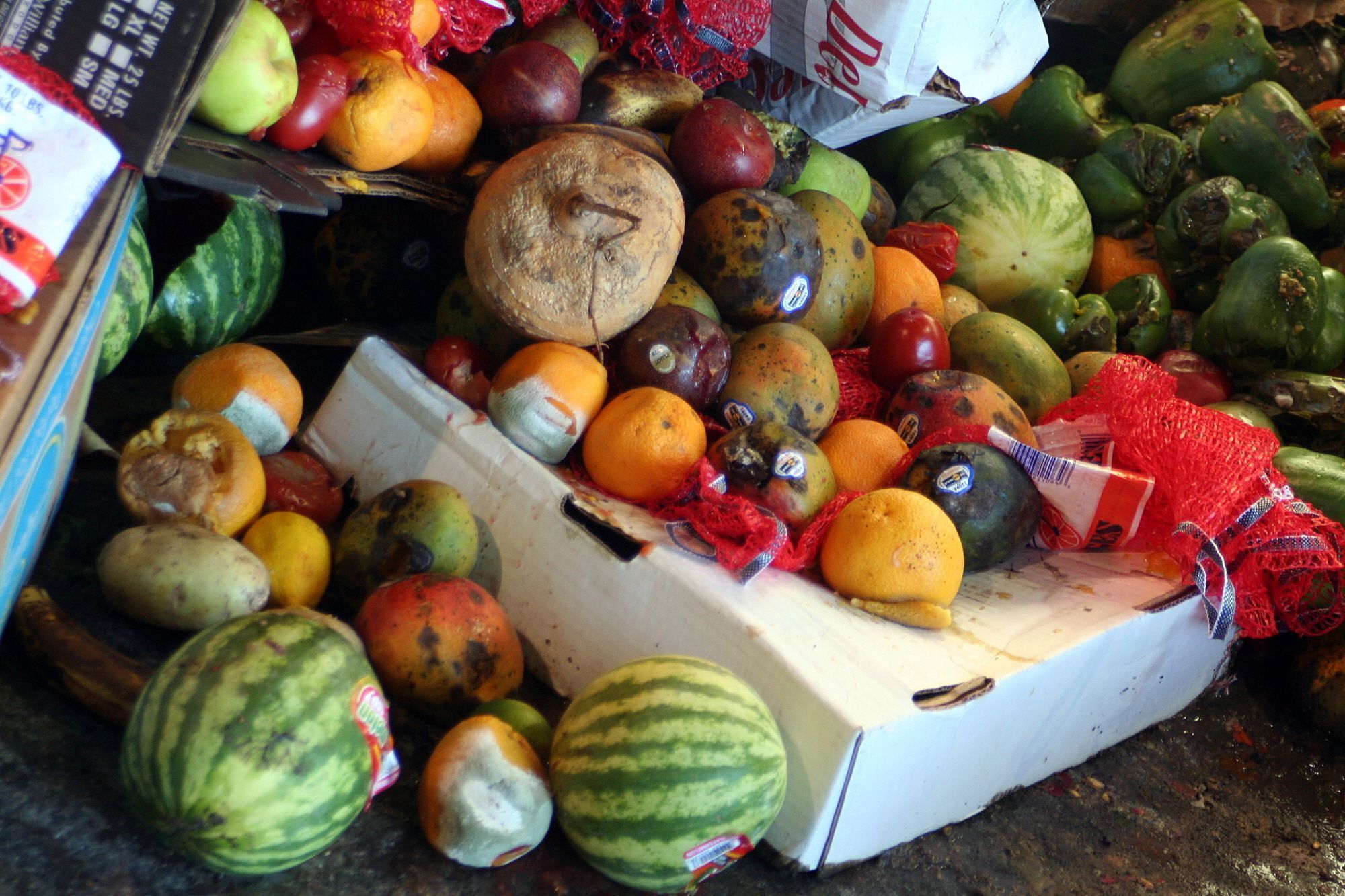 Pérdida de alimentos