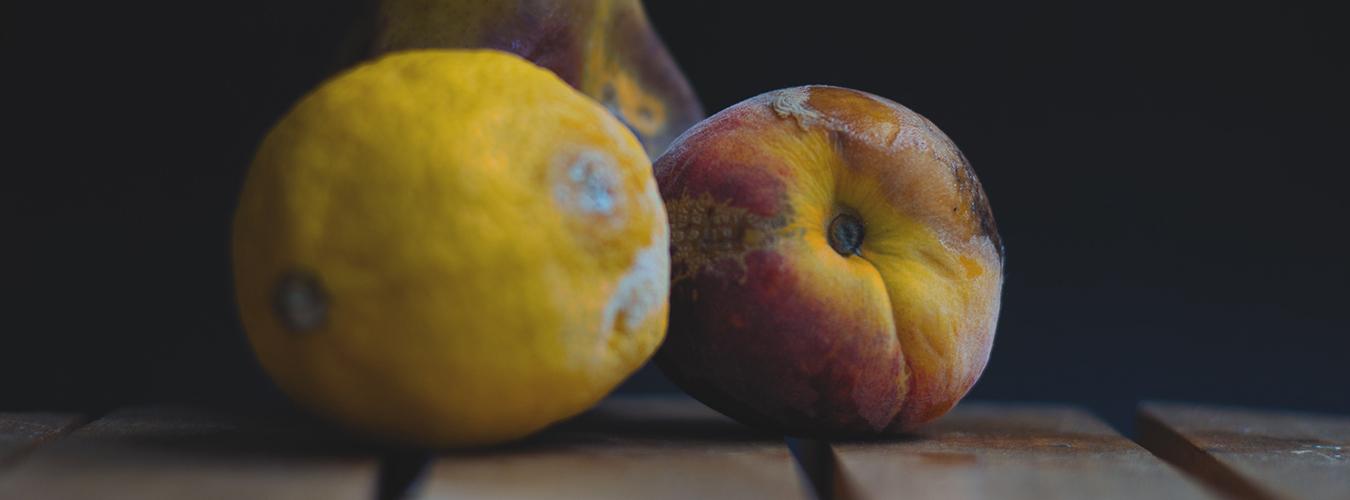 Si pudiéramos ahorrar un cuarto de los alimentos actualmente perdidos o desperdiciados, podríamos alimentar a 870 millones de personas hambrientas en todo el mundo. @Anita Jankovic / Unsplash.