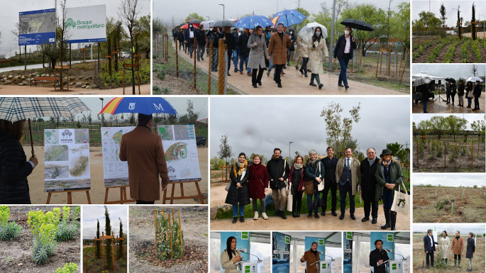 montaje del acto en el día Internacional de los Bosques