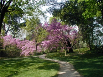 Jardín El Capricho